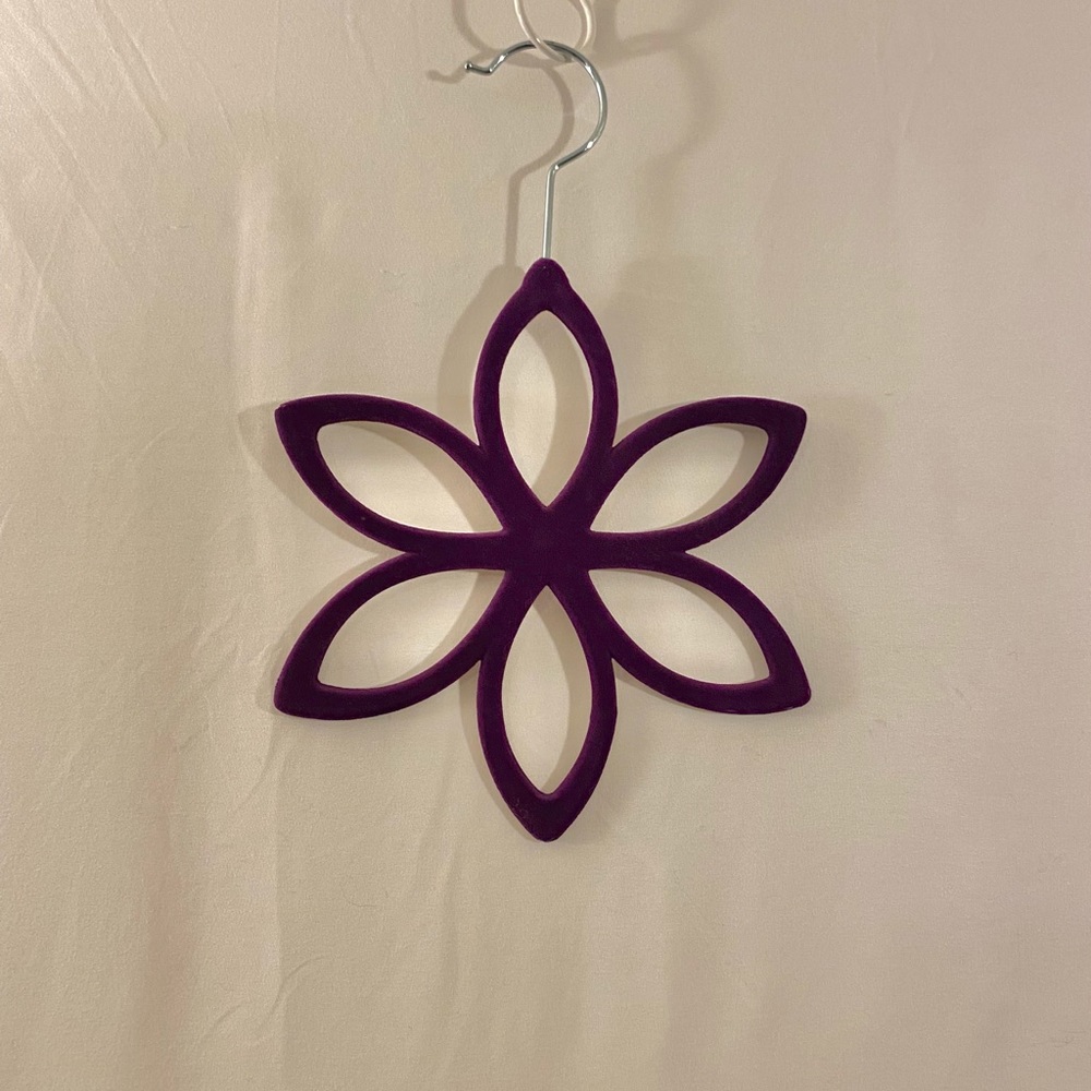 Closet Organizer for Scarves Belts Necklaces Purple